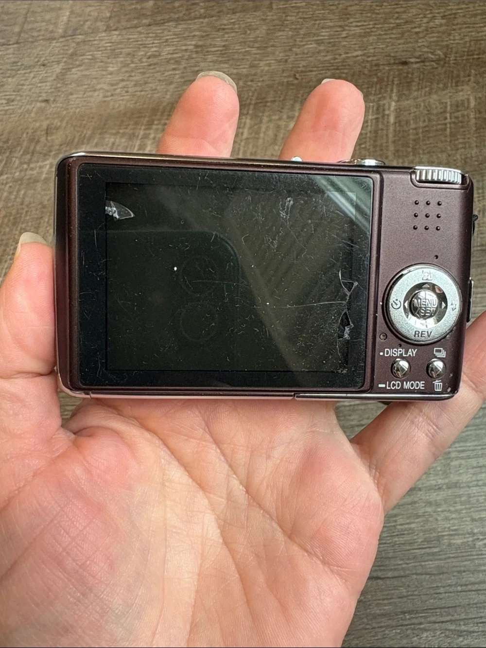 Panasonic lumix canon